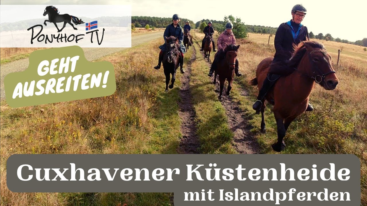 Ausritt mit Islandpferden in der Cuxhavener Küstenheide - Ponyhof TV geht ausreiten!
