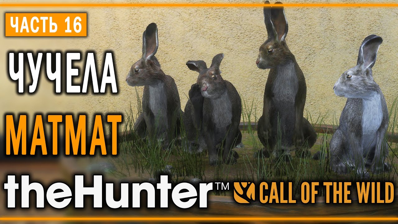 theHunter Call of the Wild #16 🐰 - Заячий Отряд - Кoмпозиции из Чучeл