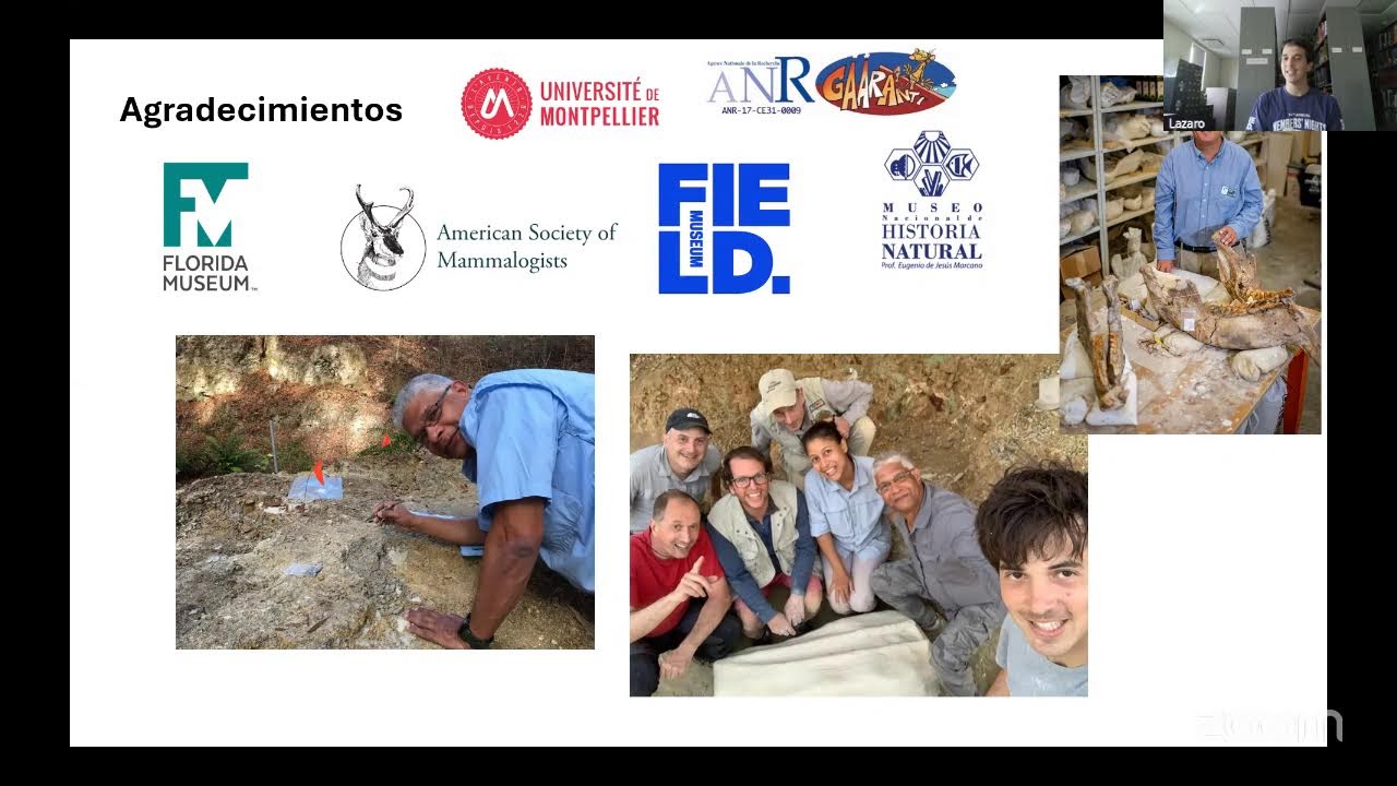 Sebécidos, depredadores sudamericanos en el Caribe prehistórico