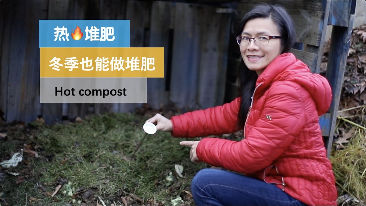 【热堆肥】154•土壤/冬天做热堆肥，为明年提供优质营养土；还能处理大量的厨余、秸秆、树叶