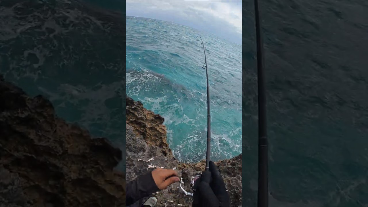 🔥 I Wasn&rsquo;t Expecting This Fish