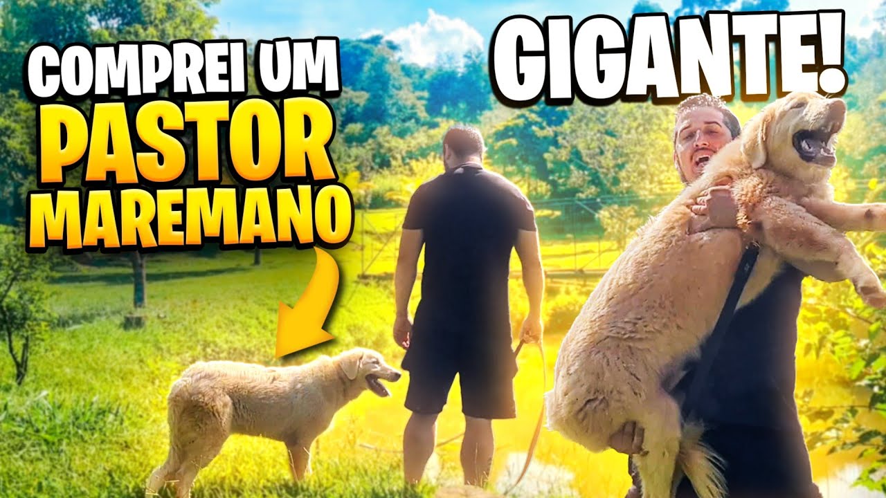MAREMANO ABRUZÊS SERVE PARA GUARDA?