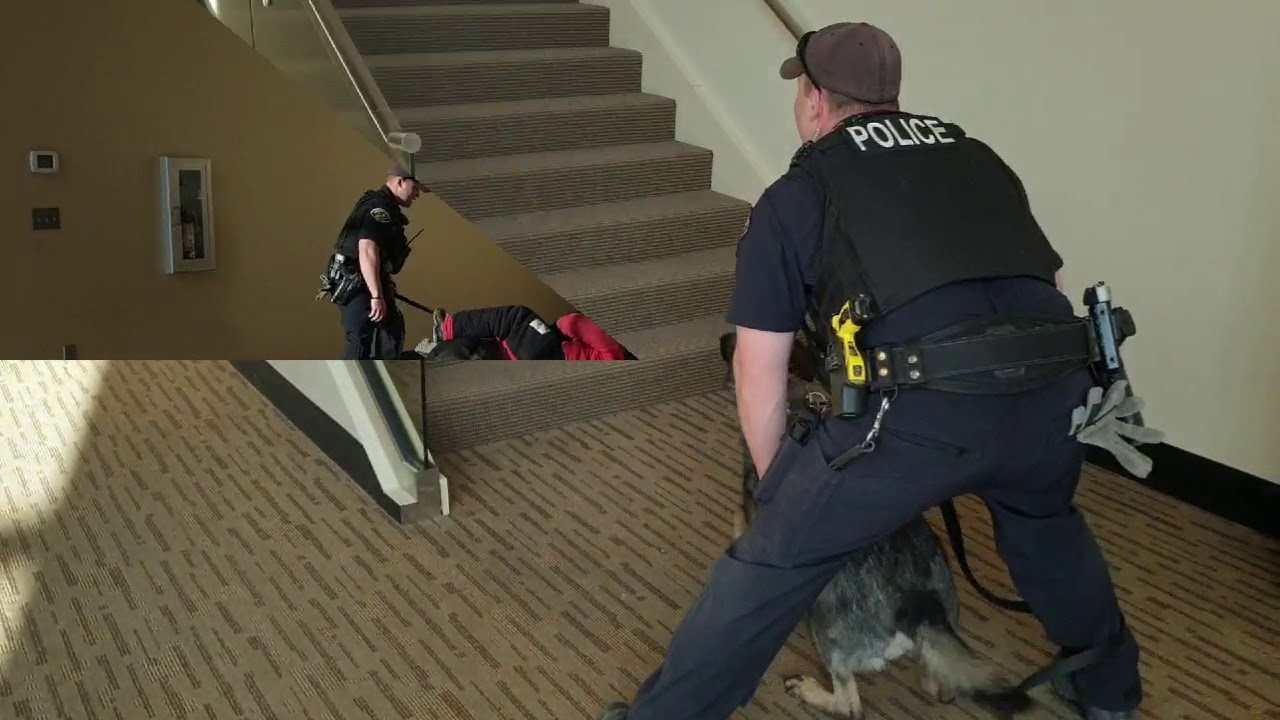 K9 Training Center a USA Police K9  2019