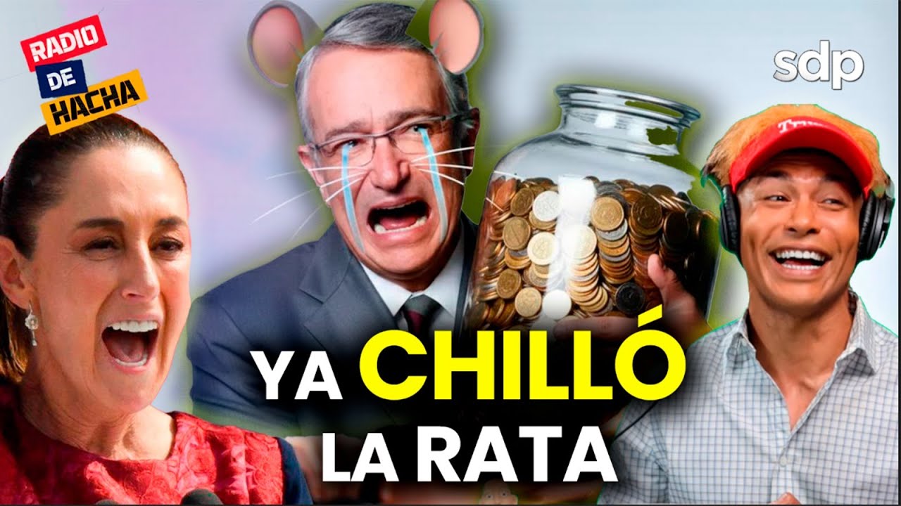 YA CHILLÓ la rata de Salinas y Congreso de la CDMX se convierte en un CIRCO