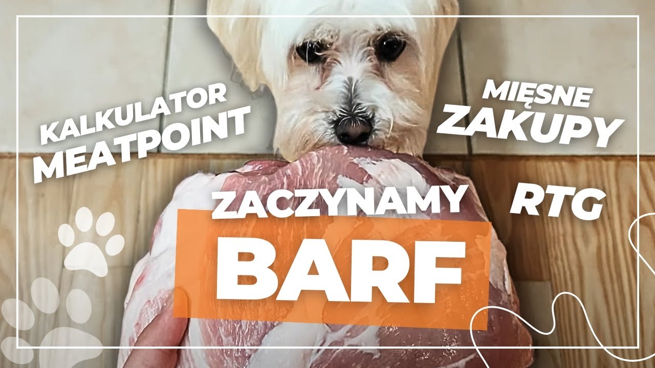 ZACZYNAMY BARF! 🥩 Robimy pieskom RTG | Vlog