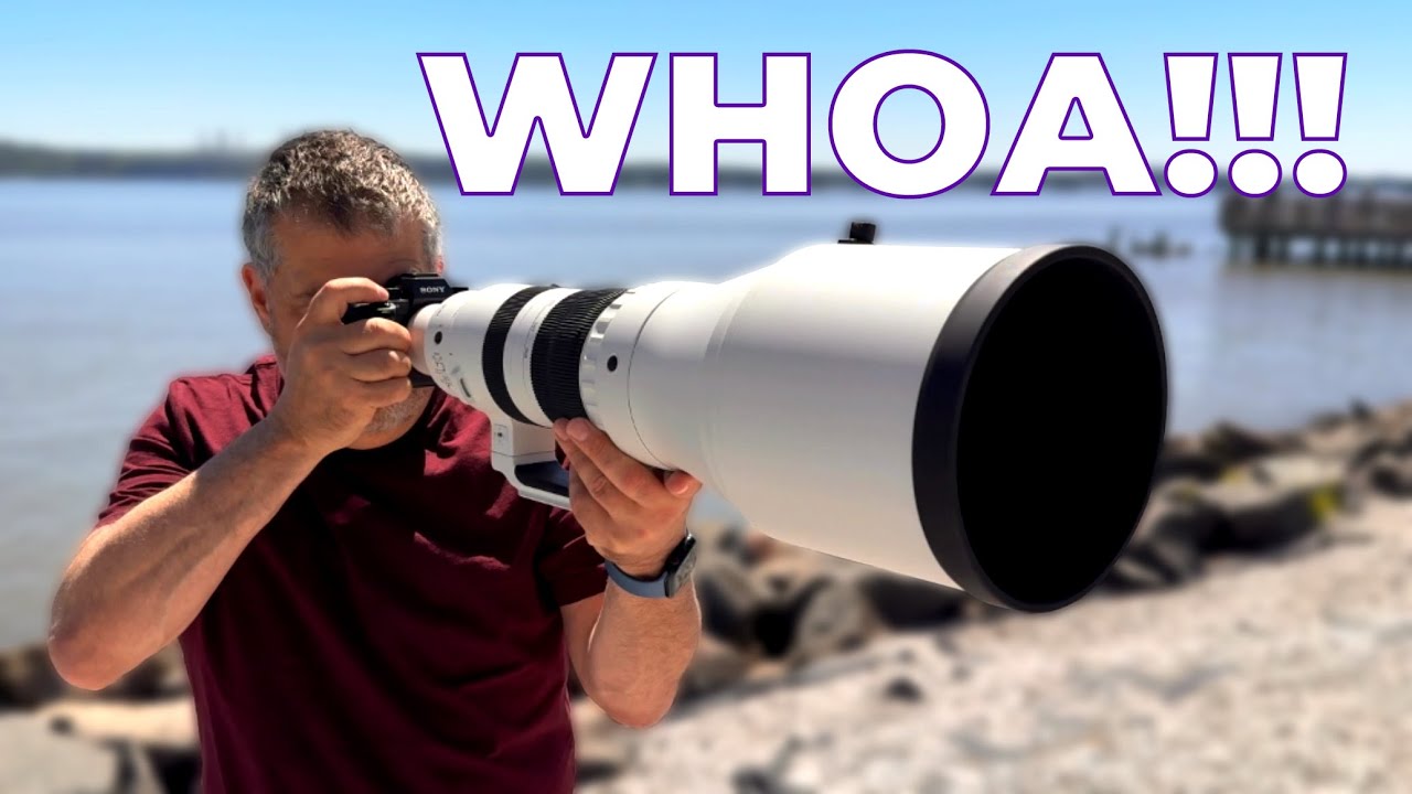 Sigma 300-600mm F4: The Best Wildlife Zoom Yet?