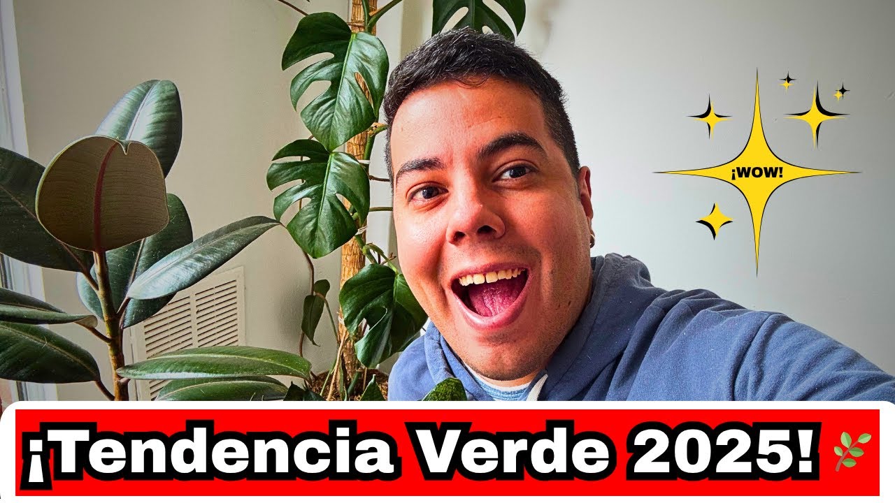 7 Plantas de Interior Fáciles de Cuidar 🌿 | Tendencias 2025 que Purifican el Aire