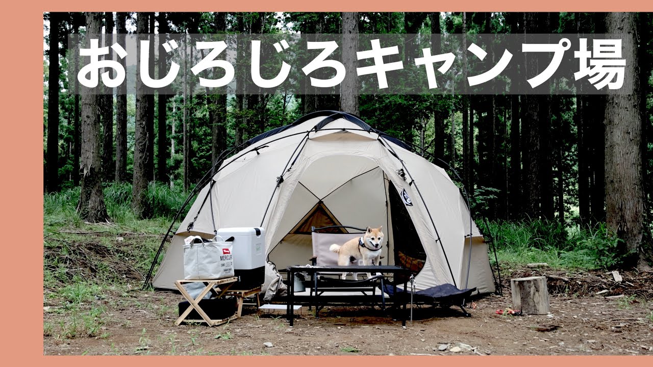 【犬連れキャンプ】おじろじろキャンプ場 林間サイトで犬とソロキャンプ（兵庫）
