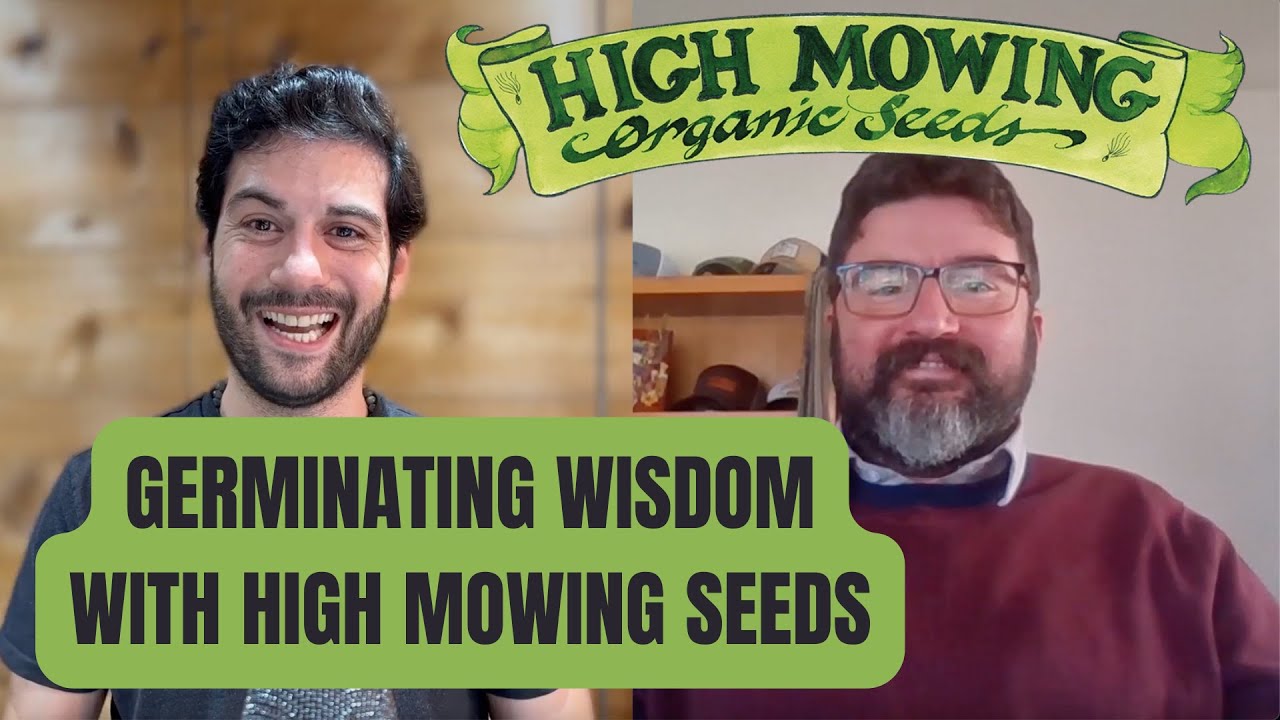 Sowing Success With High Mowing Organic Seeds