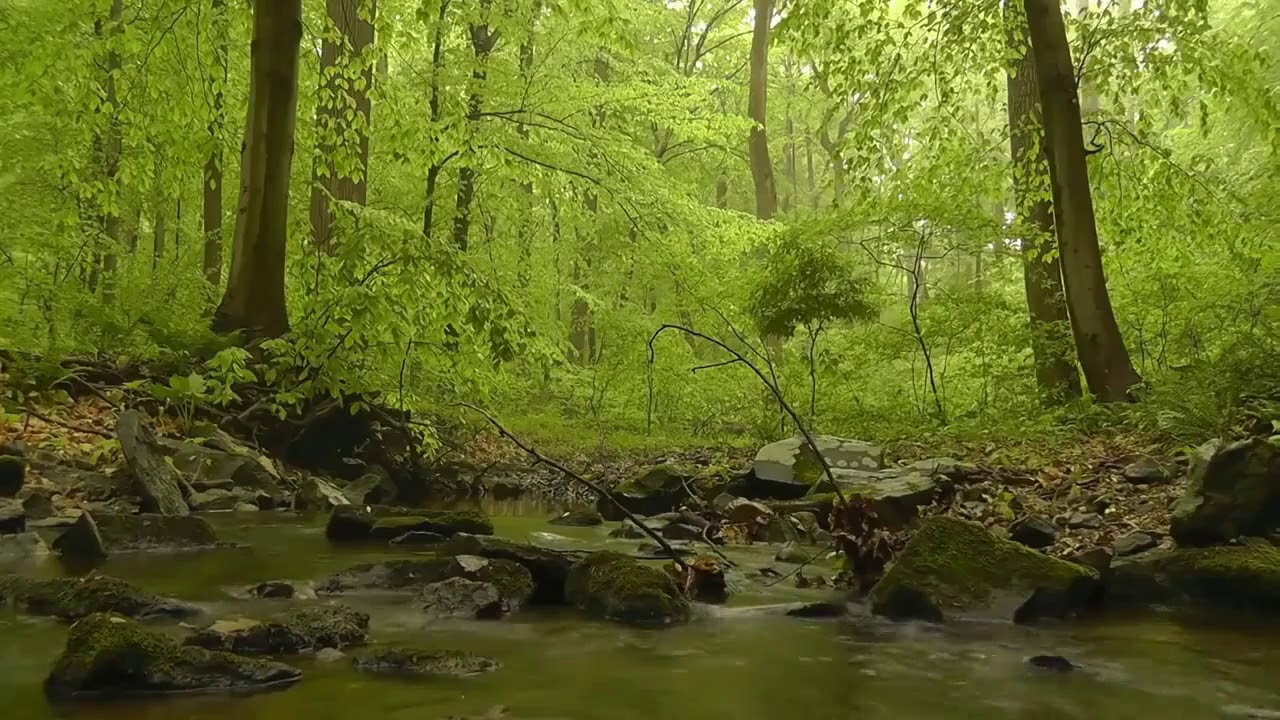 Beautiful Relaxing Music for Stress Relief | Meditation, Spa, Relaxation, Study, Spa