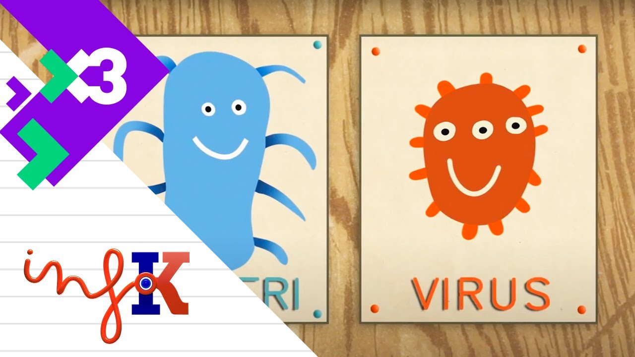 Diferències entre virus i bactèries - InfoK
