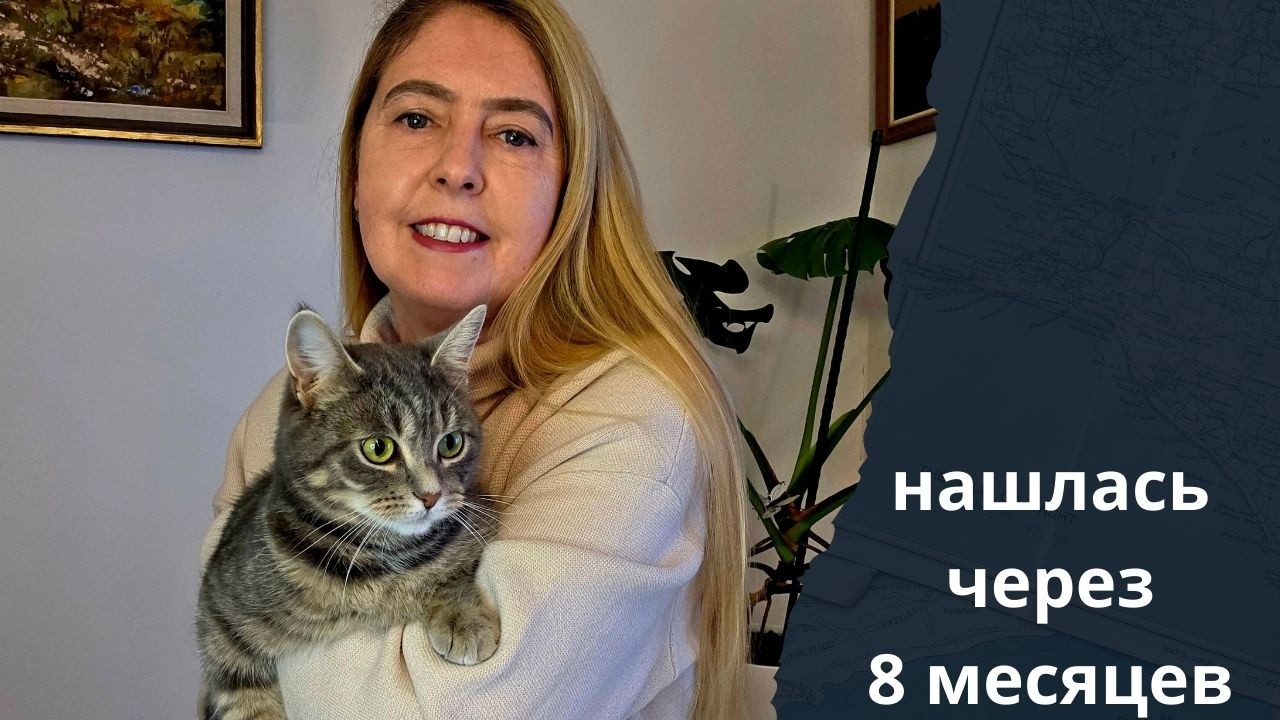 Кошку вернули через 8 месяцев!