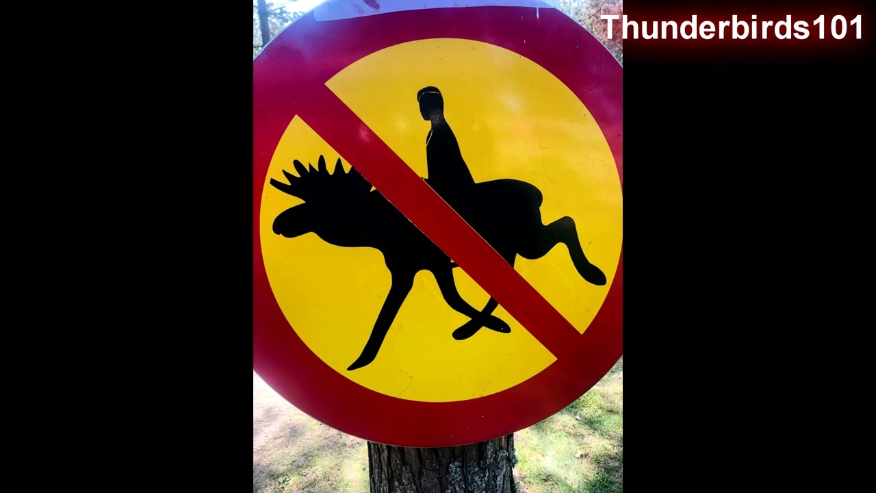 Microsoft Sam reads Stupid and Weird Signs (Canada Day Special 2023)
