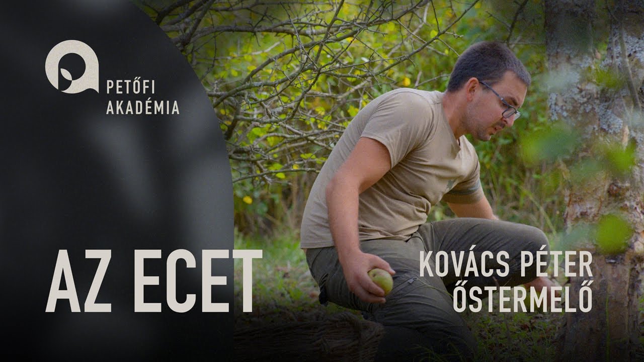 PETŐFI AKADÉMIA: ECET | KOVÁCS PÉTER ep.03.