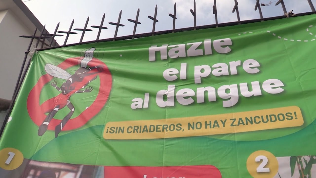 Claves para comprender la grave situaci&oacute;n del dengue en Per&uacute;