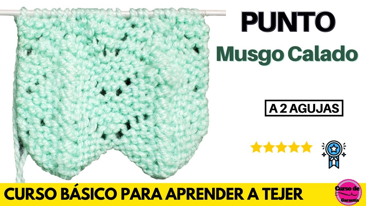 ✅ Punto Musgo Calado a Dos Agujas 💡 Aprende a Tejer a Palitos 📚 Curso online a 2 Agujas