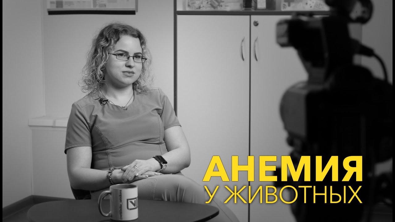Анемия у животных