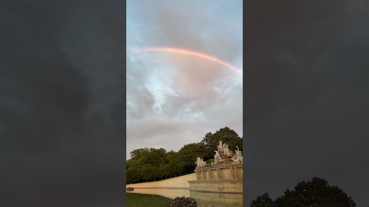 Vienna🌈 #shorts #shortvideo #youtubeshorts #youtube #video