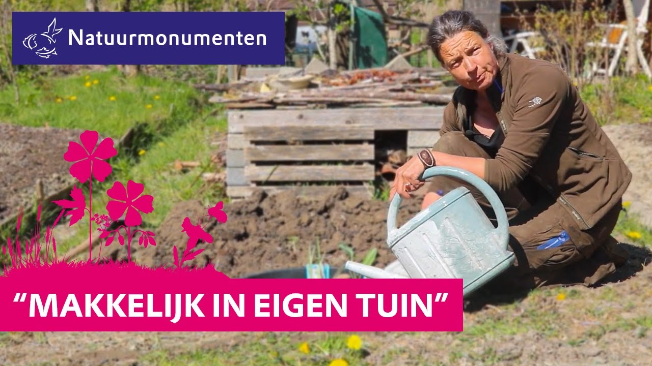 Vijver aanleggen? Dat doe je zo!