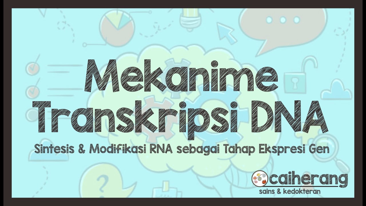 Tahapan dan Mekanisme Transkripsi DNA | Transkripsi DNA, Tahapan Awal Ekspresi Gen