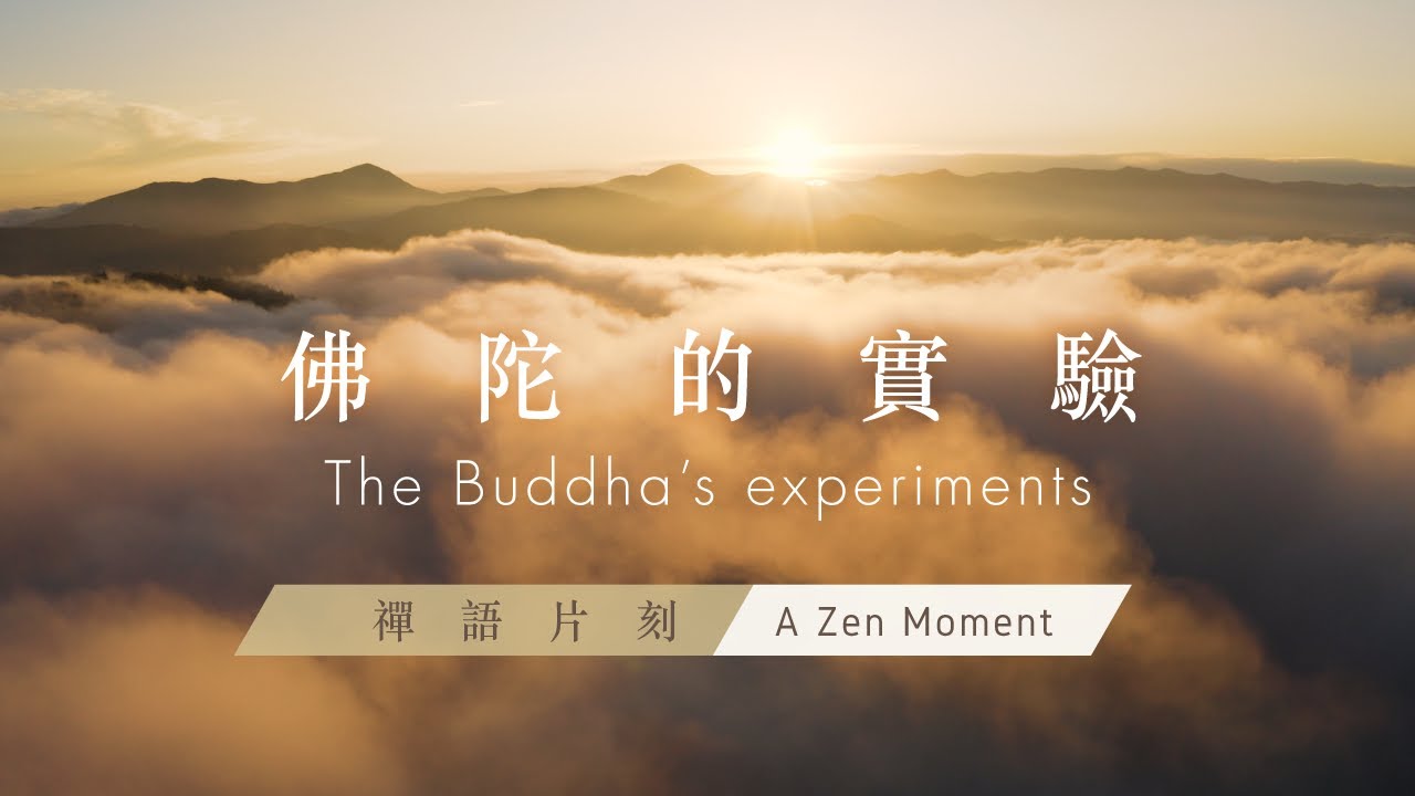【禪語片刻 A Zen Moment】 第一集 佛陀的實驗 | EP1 The Buddha’s experiments