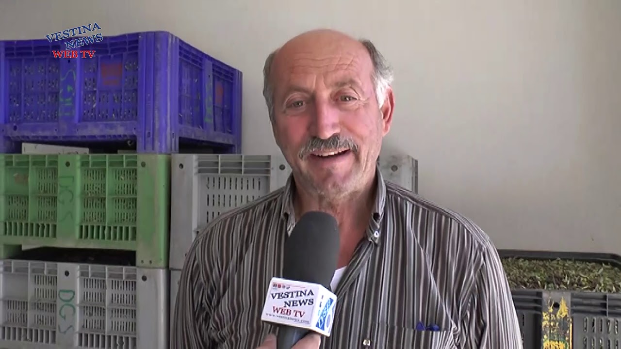 Campagna olivicola 2019 - Azienda agricola Di Giacomo