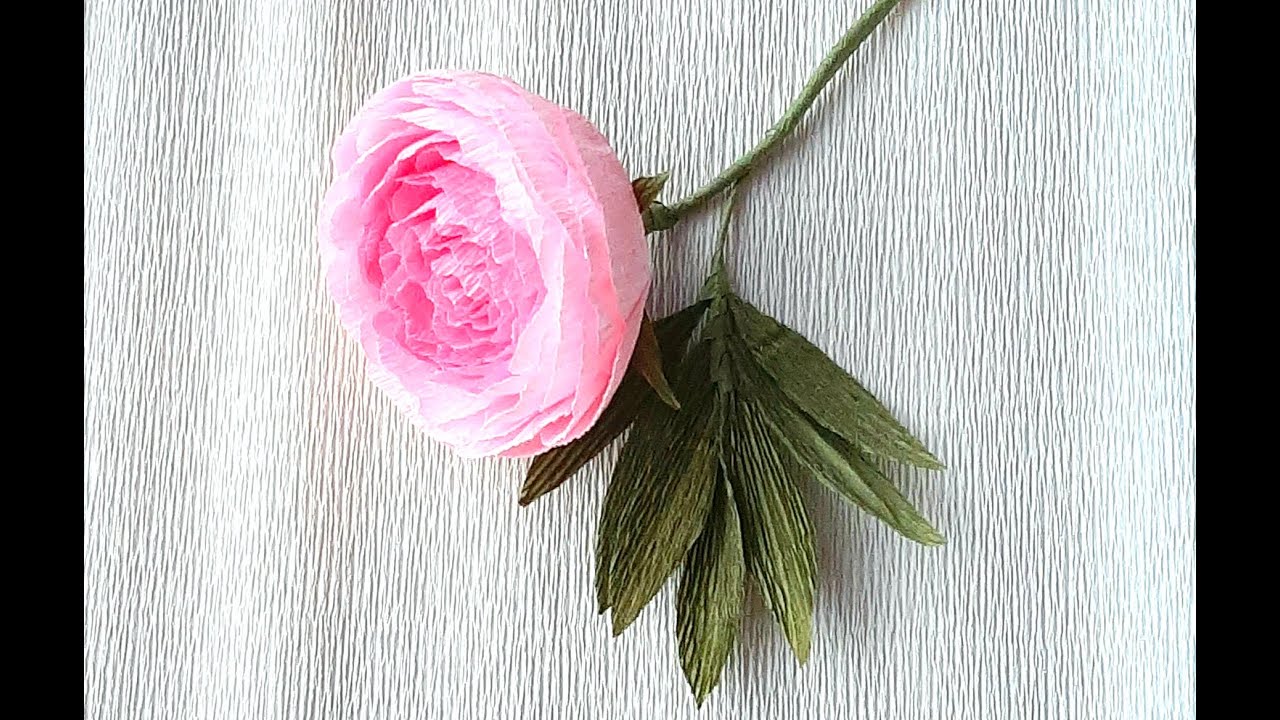 Peony flower 1 ll BUJORUL part.2
