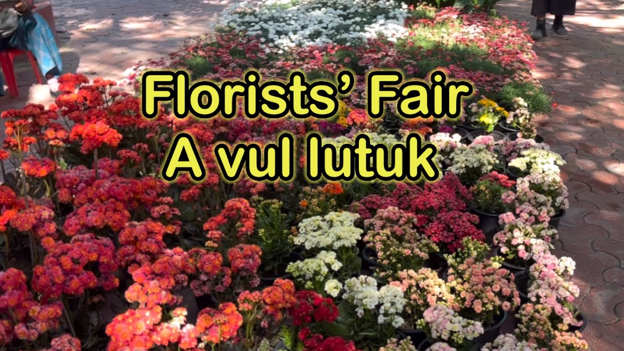 Florists’ Fair ah pangpar a mawi lutuk 