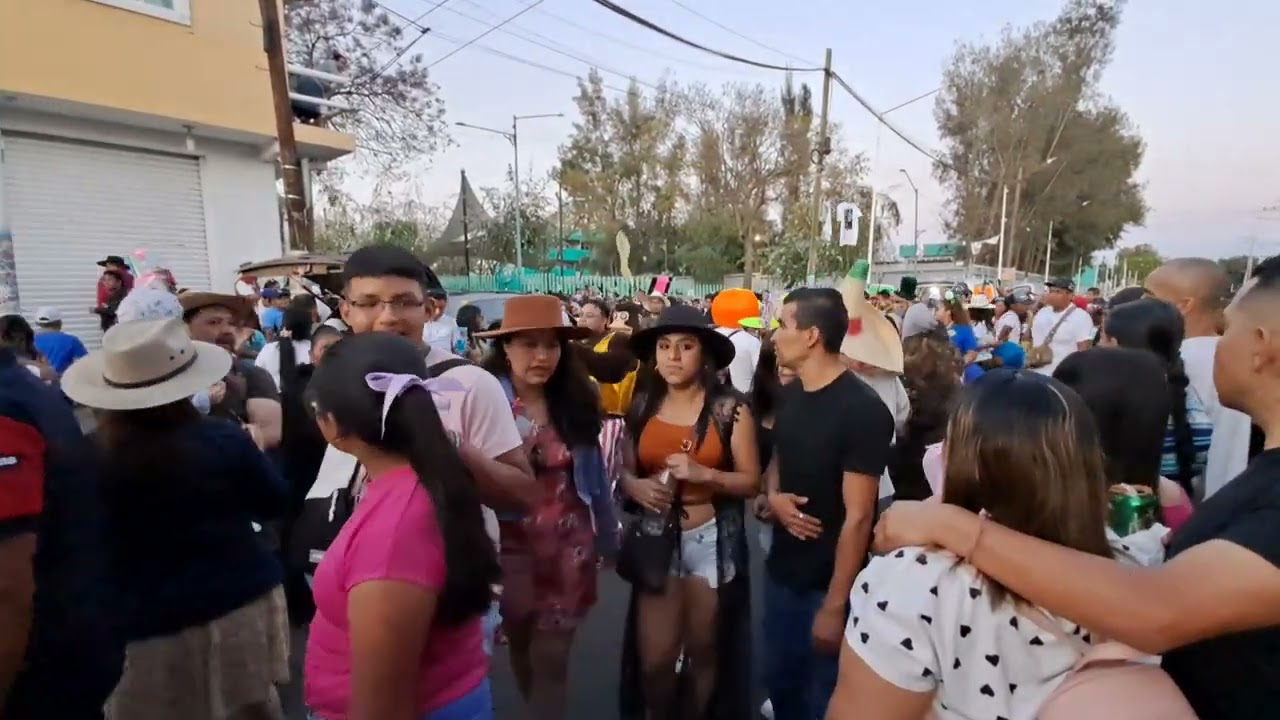 Carnaval  Tlaltenco  Chupamaros 2024