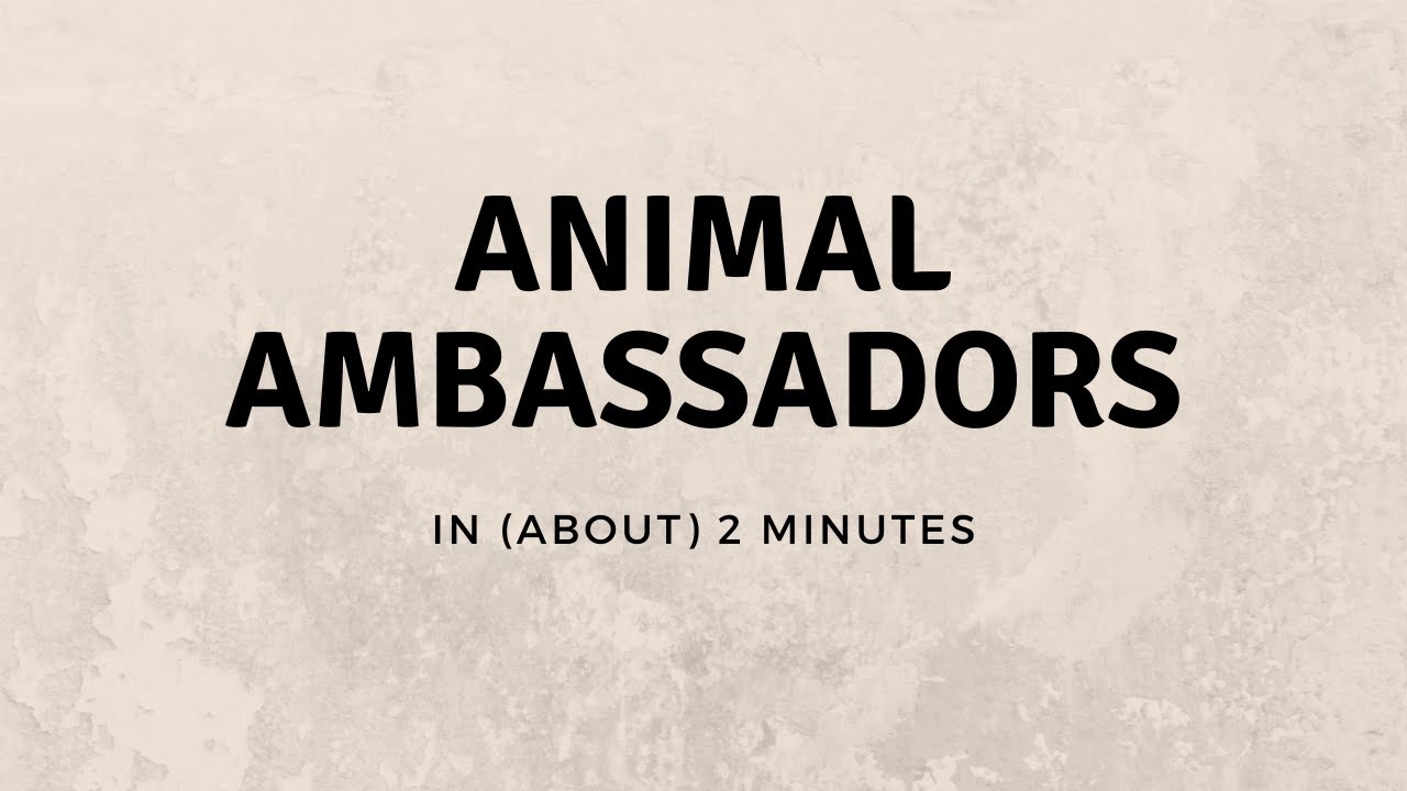 Animal Ambassadors in (About) 2 Minutes