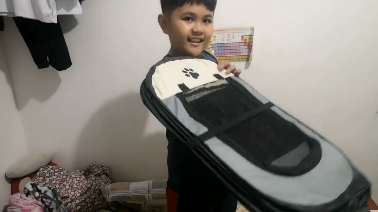 tent ng mga kukulit na kuting😻 
