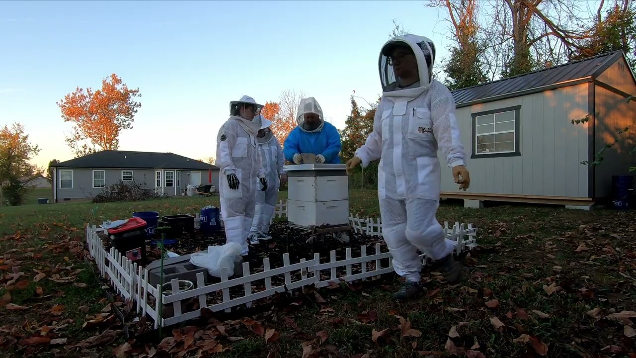 Wrapping Up Year One of Beekeeping 🐝
