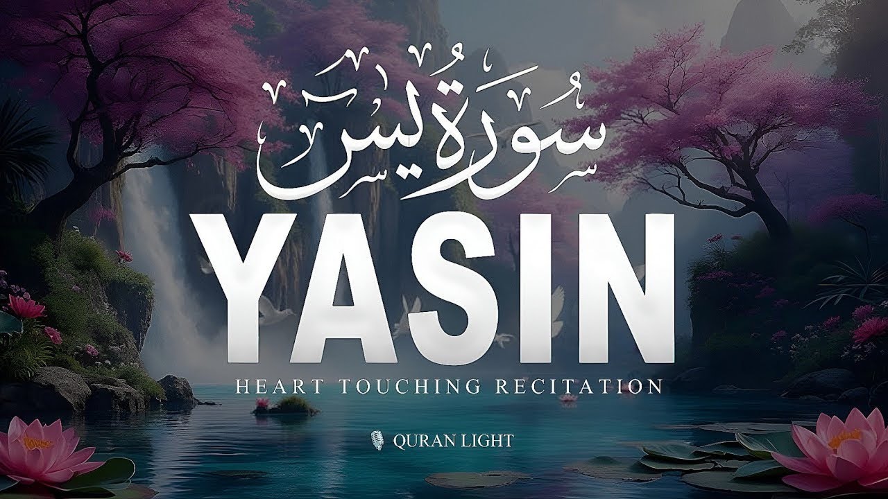 Surah Yaseen (سورة يس) | Calming Quran Recitation for Inner Peace & Sleep | Alaa Aqel #surahyaseen 