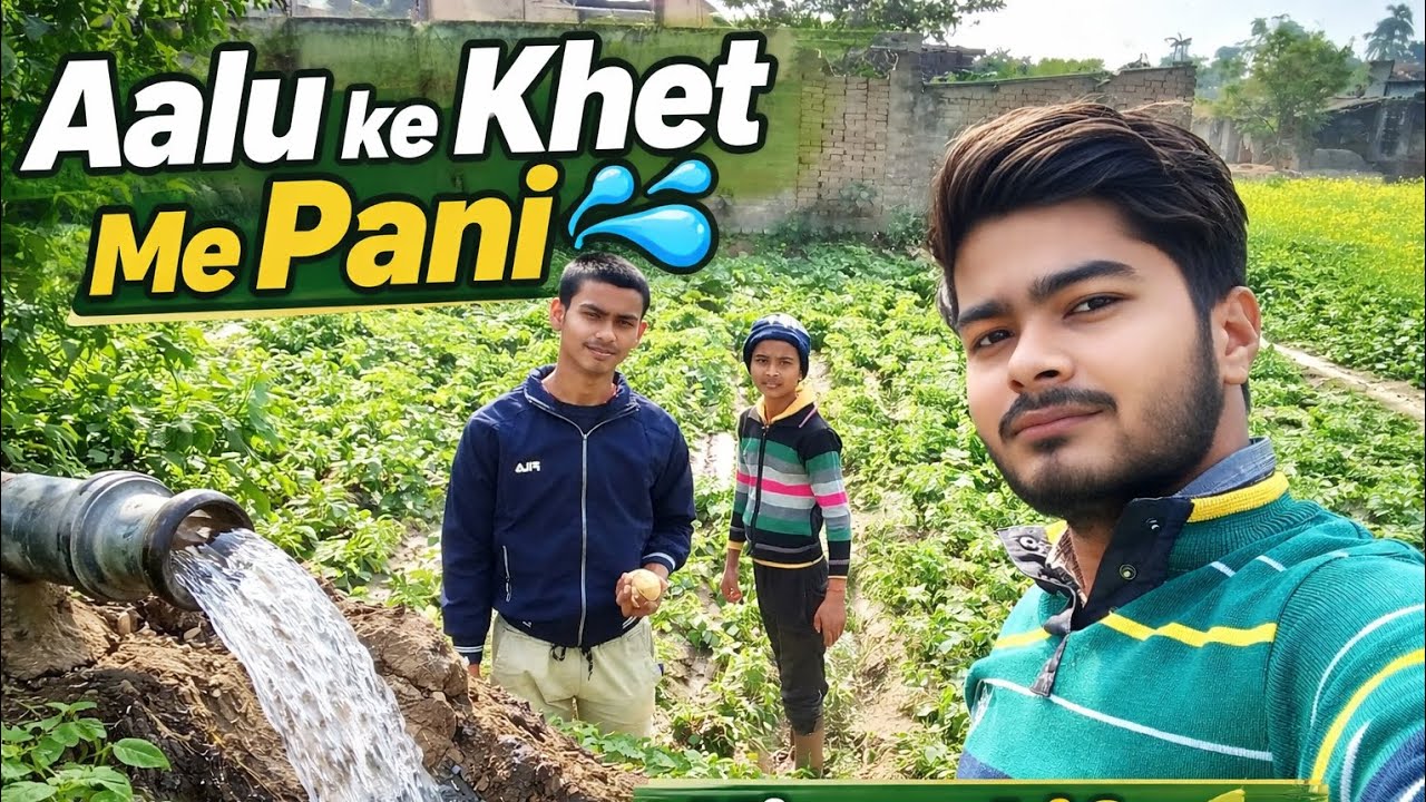 Aalu ke Khet Me Pani Dena Kaise De 💦 | Village Farming Vlog
