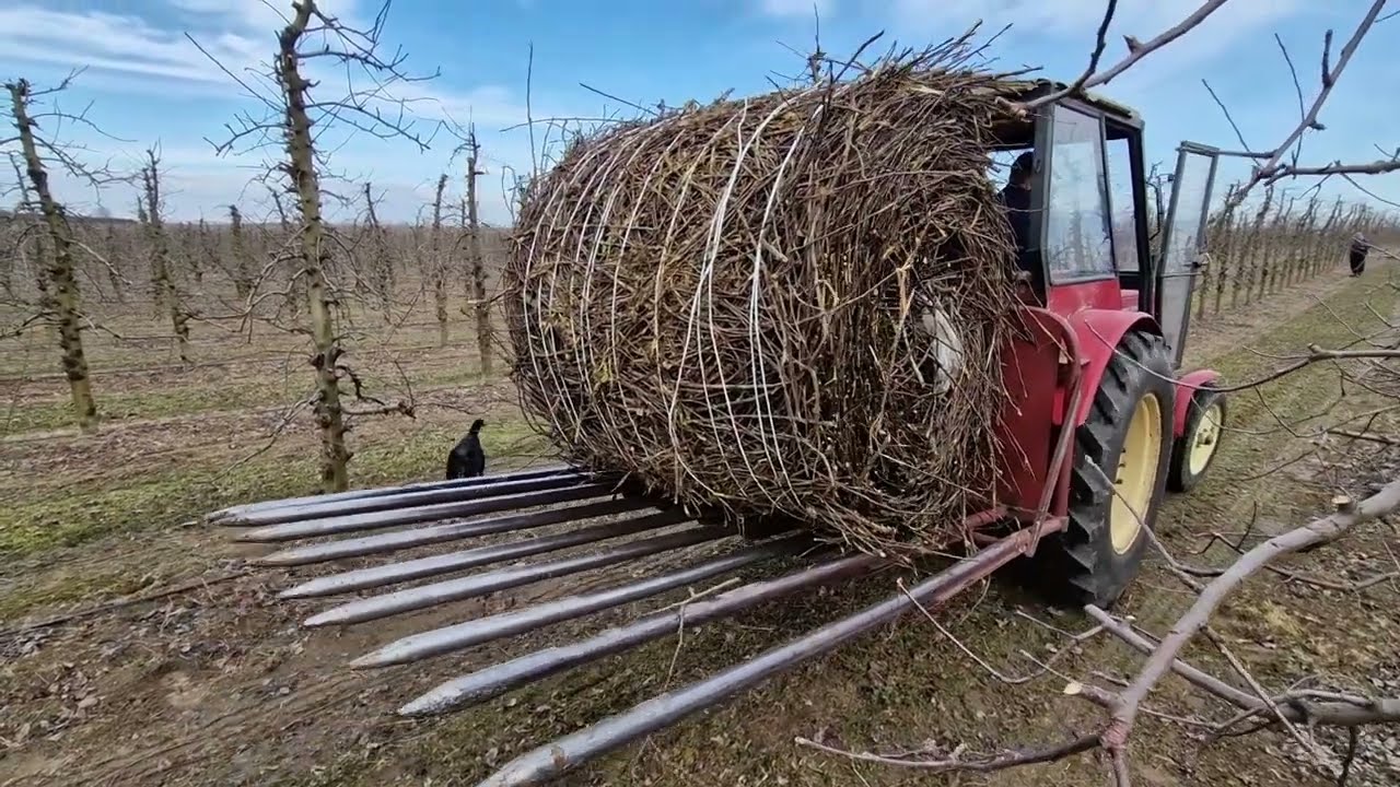 Prasowanie gałęzi w sadzie – jak sprawdza się rolnicza prasa?