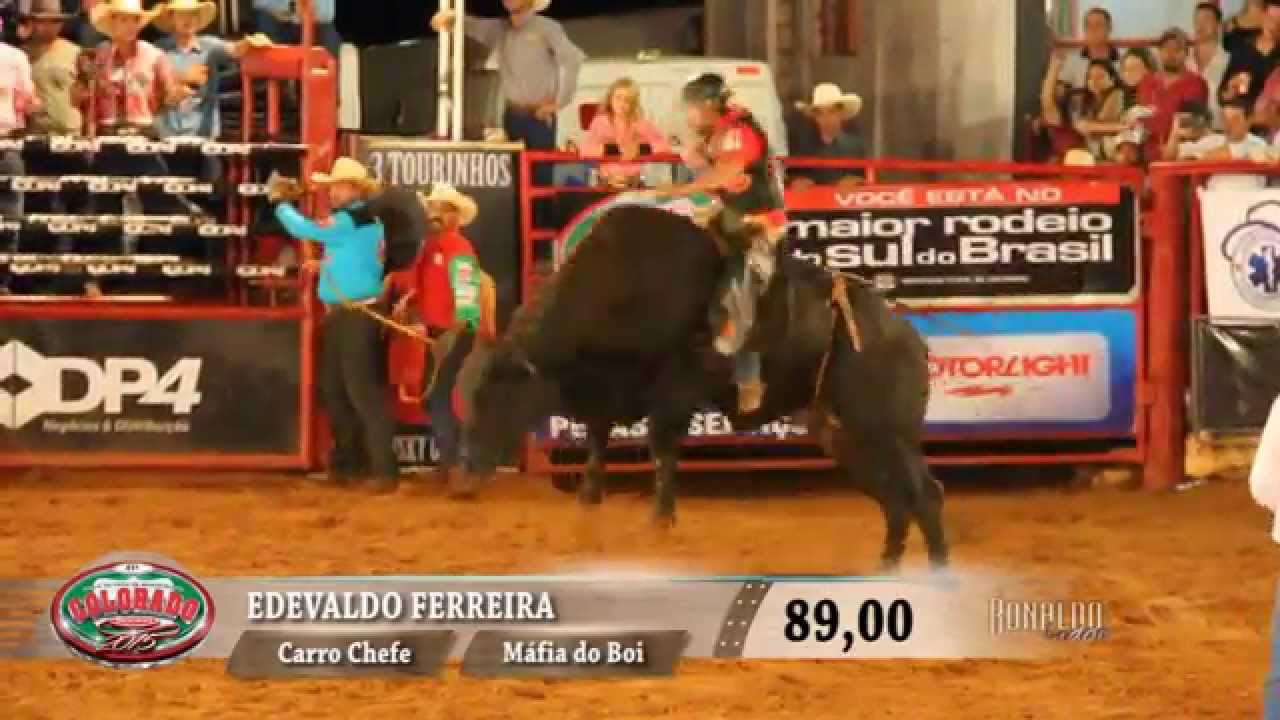 Rodeio de Colorado 2015 - FINAL EM TOUROS