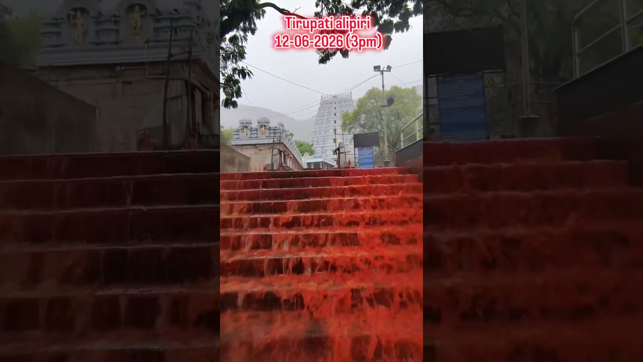 Heavy Rain at Tirumala | Srivari Metla Margam | Tirumala | Tirupati