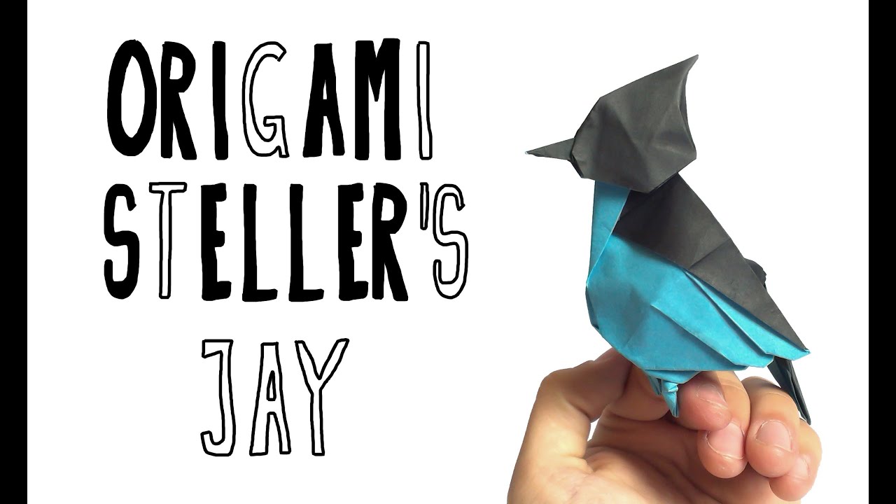 Origami Stellar's Jay (Riccardo Foschi)