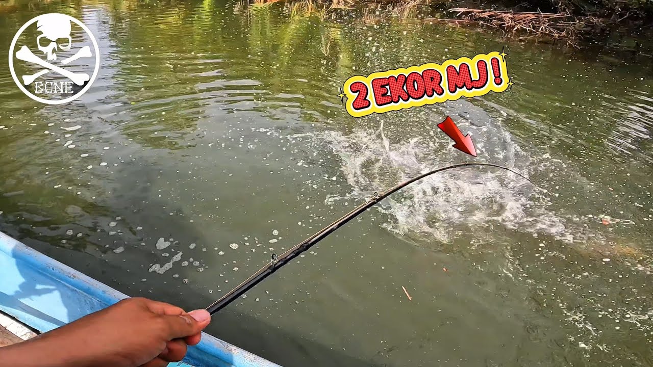ROD BARU DIGASAK MJ || BONE VOYAGE-X