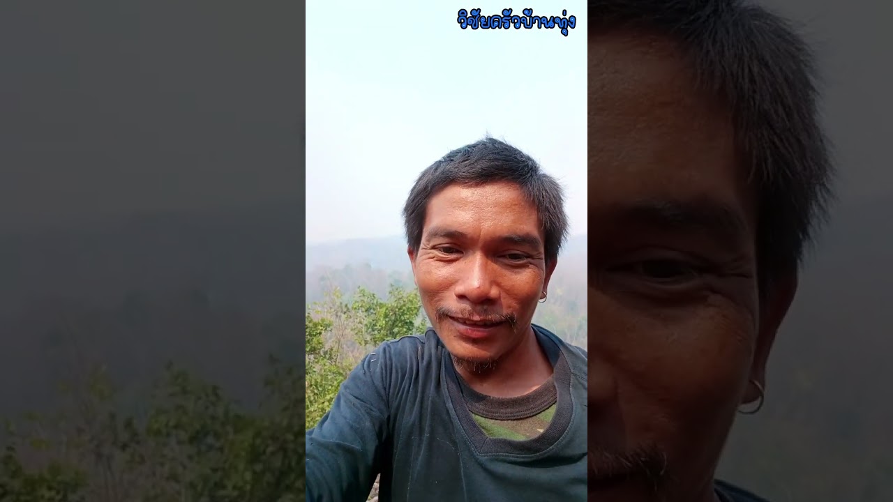 เข้าป่าหามดแดงเก็บผักหวาน