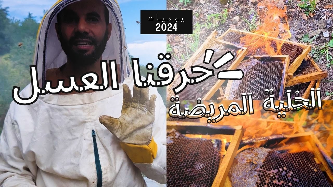 كيف يعمل النحال؟ | وثائقي العمل في مناحل الشمال التركي 4k | طرابزون 2024
