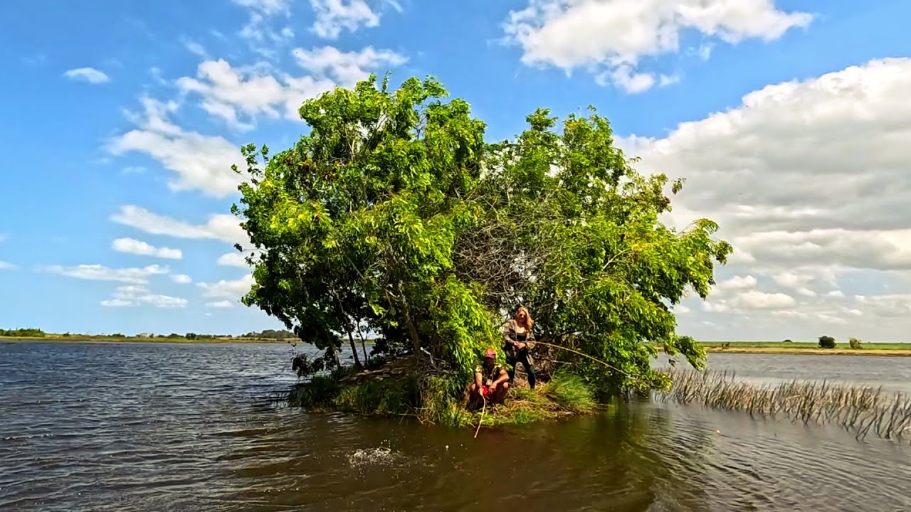 Ilha Cercada por Peixe: É o Paraíso dos Pescadores!