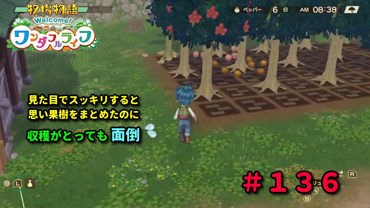 【牧場物語Welcome！ワンダフルライフ】再出発編１３６日目。