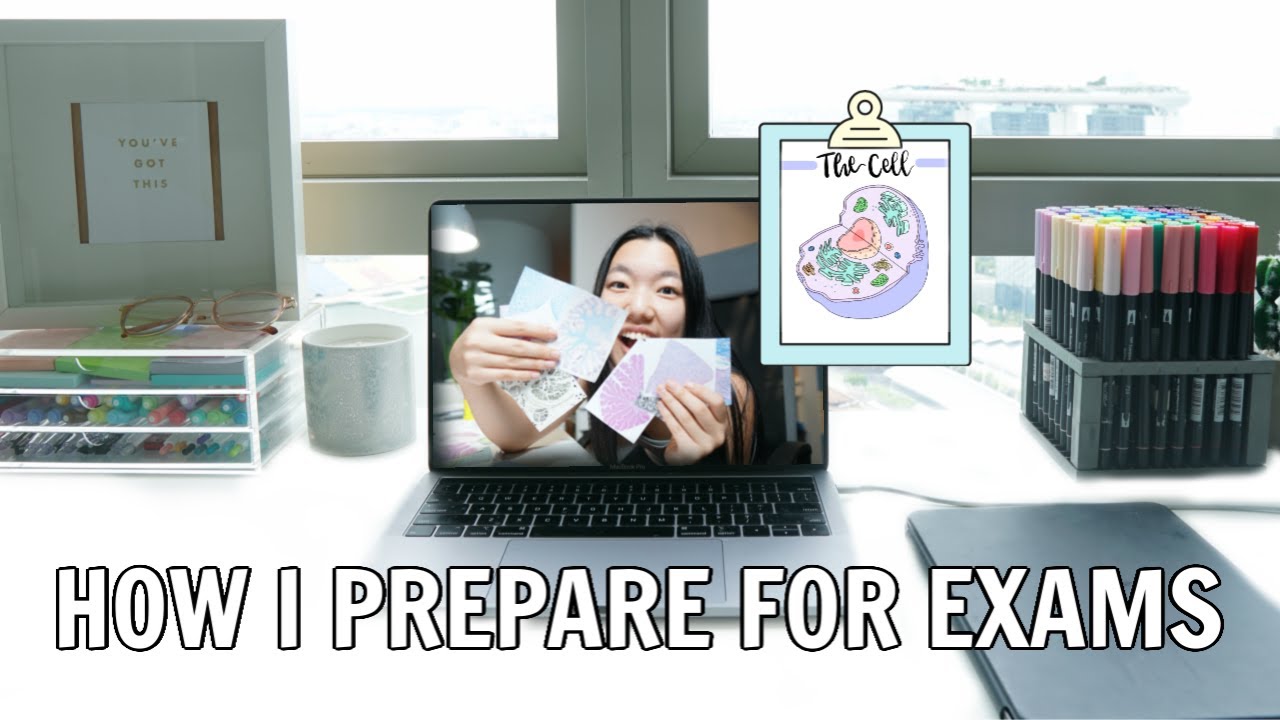 My Exam Revision Routine! (study with me)