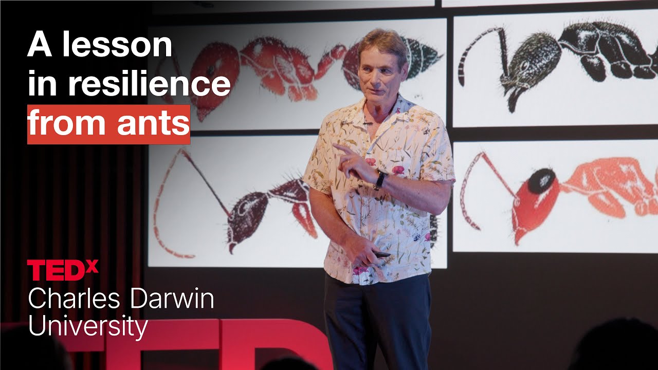 A lesson in resilience from ants | Alan Andersen | TEDxCharles Darwin University