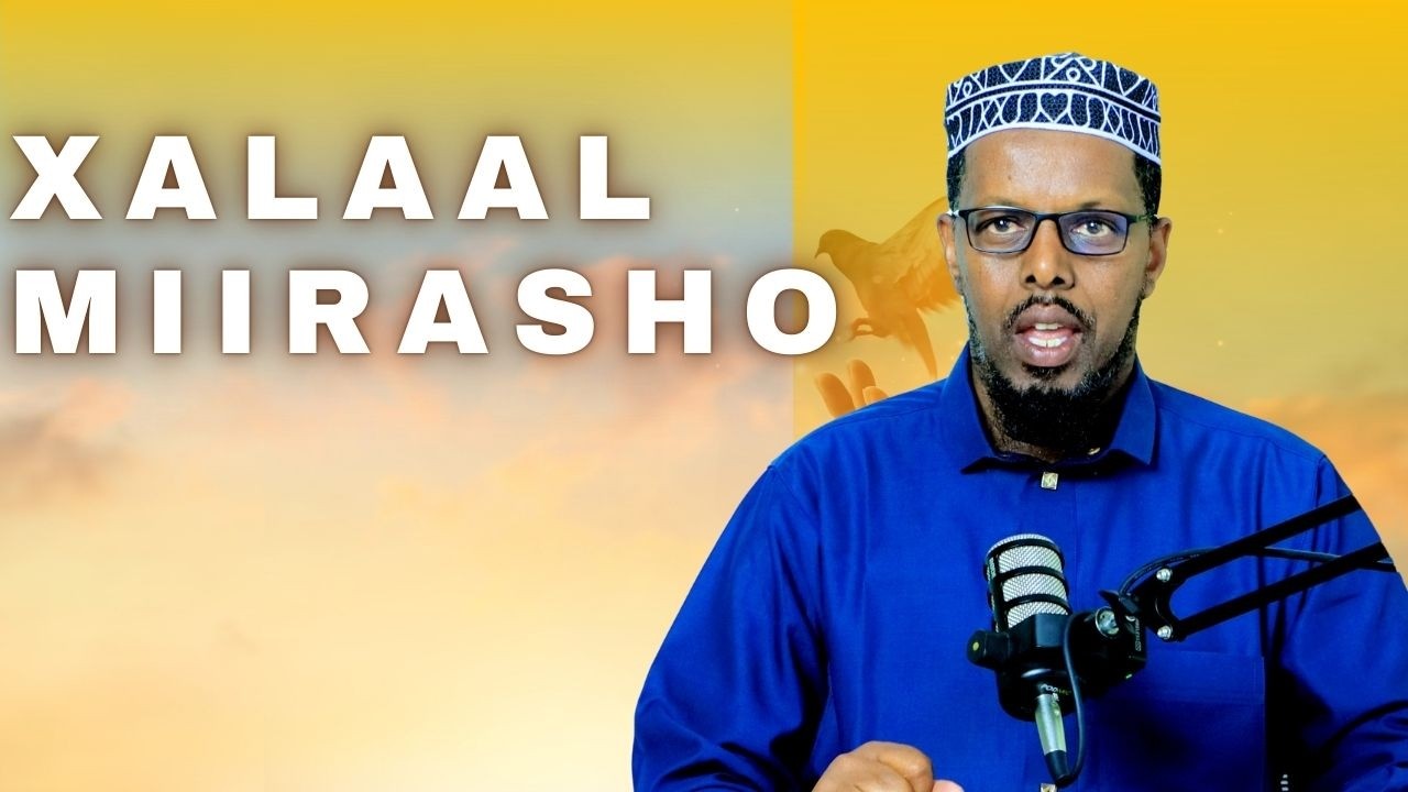 Wamaxay Xalaal Miirasho Sh.cabdale Ibrahim ( Abumacaali)