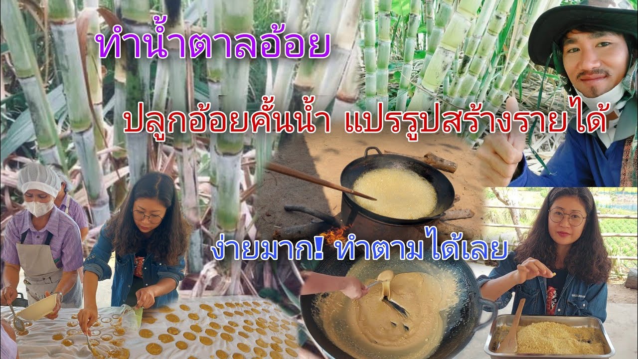 ทำน้ำตาลอ้อย ปลูกอ้อยคั้นน้ำแปรรูปน้ำตาลอ้อยสร้างรายได้ บอกวิธีทำทุกขั้นตอน ง่ายมาก!