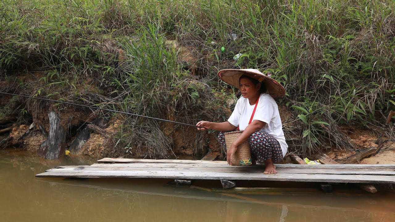 Indonesia: Indigenous Peoples Losing Their Forests