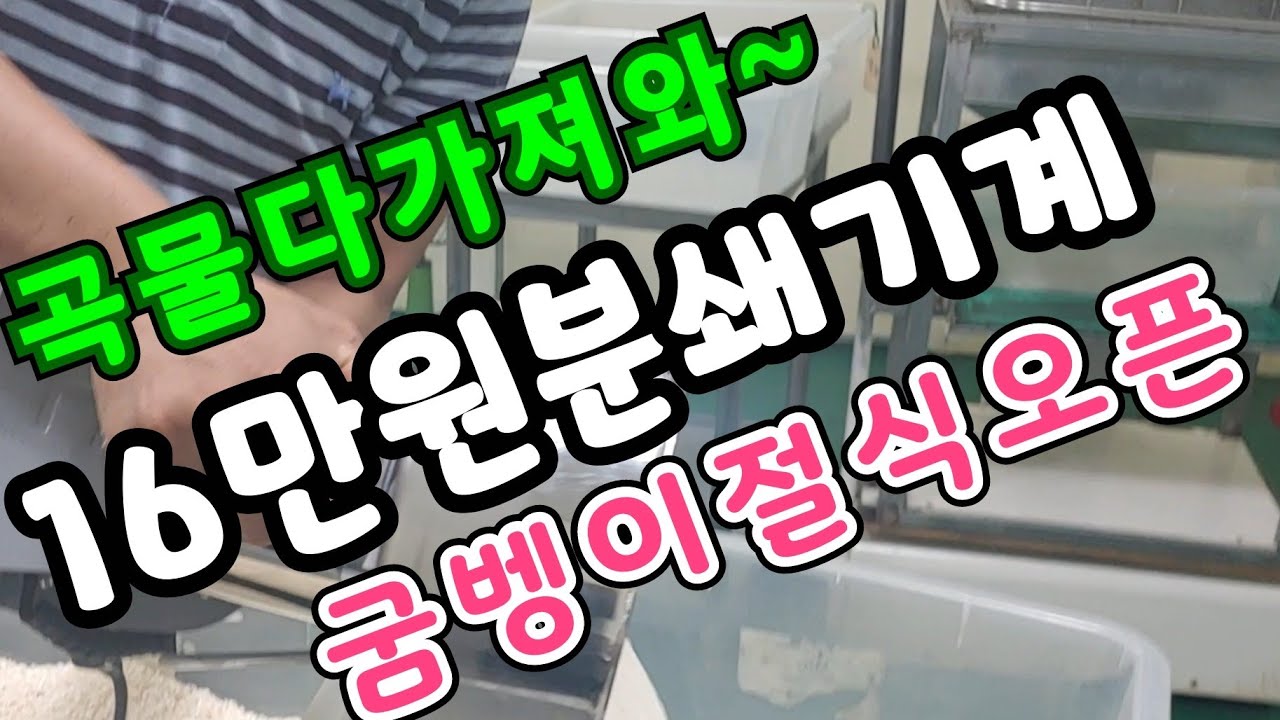곡물분쇄기 대박추천 6년차 굼벵이절식과 똥빼는방법