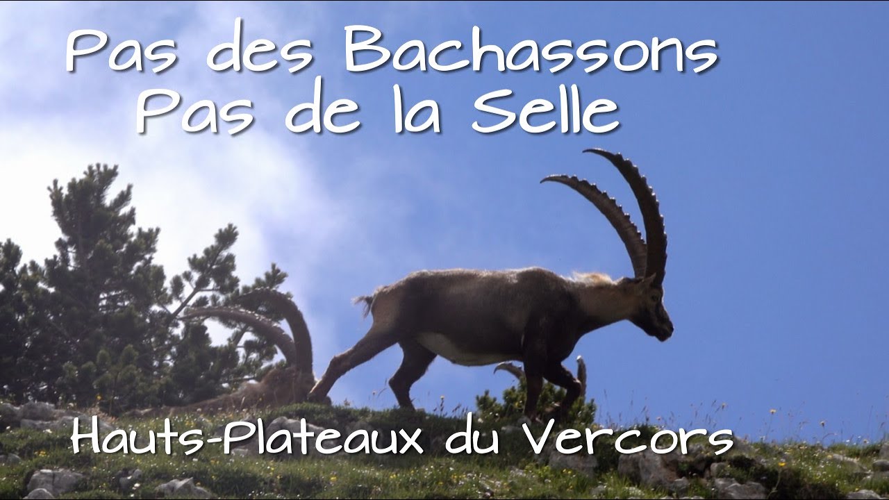 Pas des Bachassons et Pas de La Selle / Massif du Vercors